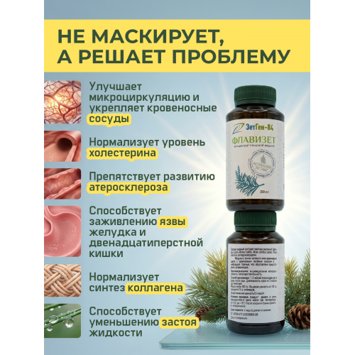 Концентрат пищевой Флавизет, 200 мл